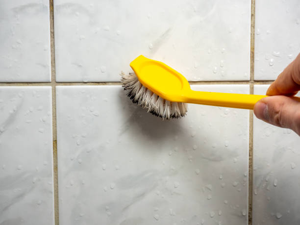 Best Certified Mold Removal  in Frent Hills, MO