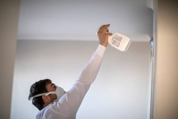 Best Mold Removal Company Near Me  in Frent Hills, MO