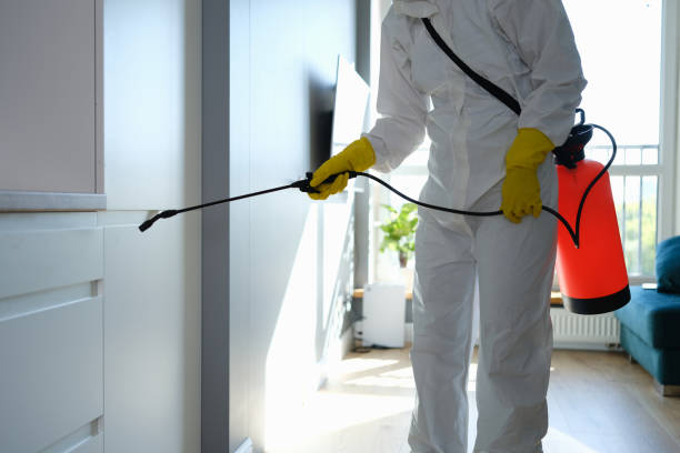 Office Mold Removal Services in Fremont Hills, MO