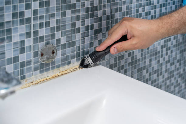 Best Mold Testing  in Frent Hills, MO