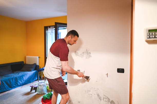 Trusted Fremont Hills, MO Mold Removal Experts